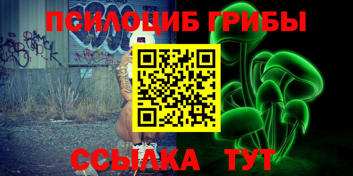 Псилоцибиновые грибы Psilocybe Реж