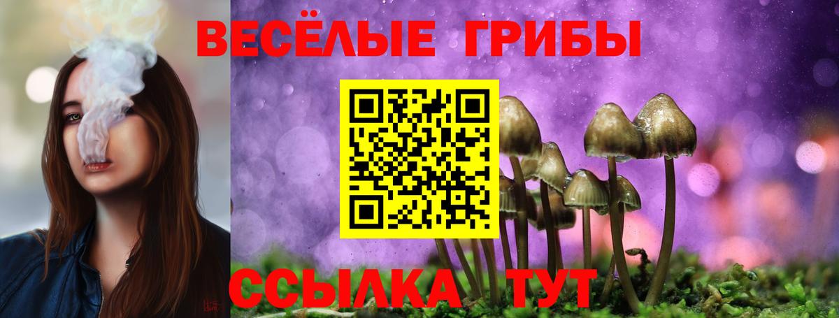 Реж  Галлюциногенные грибы MAGIC MUSHROOMS  Вход с VPN  Псилоцибиновые грибы Psilocybe 
